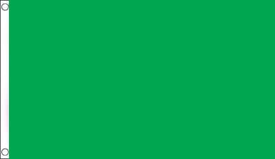 Green Solid Colour Flag 60 x 90cm