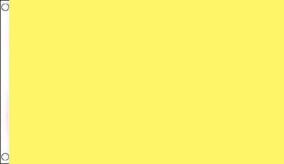 Yellow Solid Coloured Flag