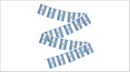 Argentina Bunting String Flags - 30 Flags