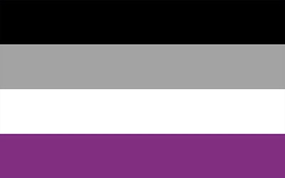 Asexual Flag Pride LGBT 150 x 90cm