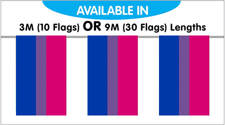Bisexual Bunting String Flags - 10 Flags 3M