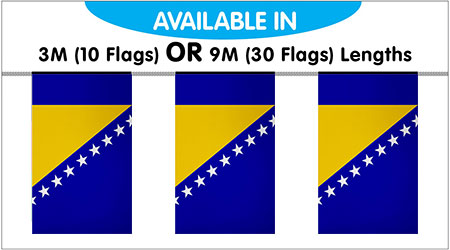 Bosnia Herzegovina Bunting String Flags - 10 Flags 3M