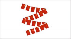 China Bunting String Flags - 30 Flags