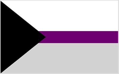 Demisexual Flag - Pride LGBT 150 x 90cm