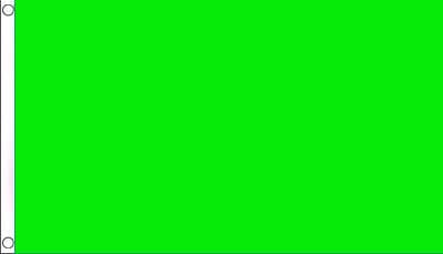 Green Neon Solid Colour Flag 150 x 90cm