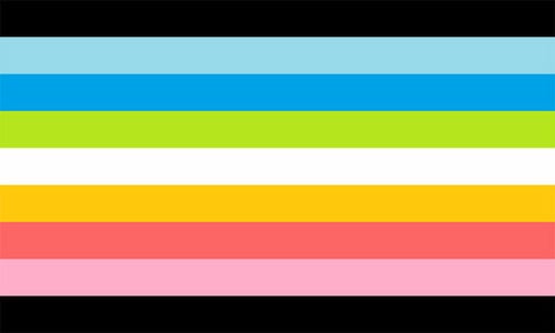 Pride Queer Flag