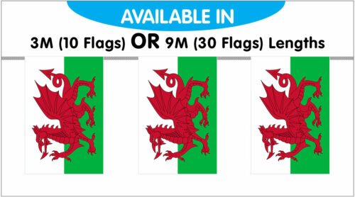 Wales String Bunting Flags