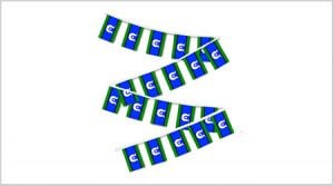 Torres Strait Bunting String Flags - 30 Flags